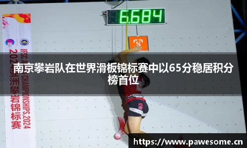 南京攀岩队在世界滑板锦标赛中以65分稳居积分榜首位