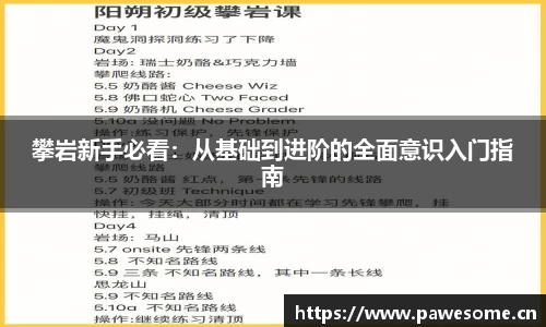 攀岩新手必看：从基础到进阶的全面意识入门指南