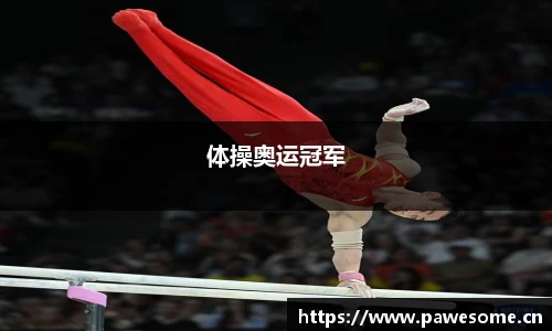 体操奥运冠军