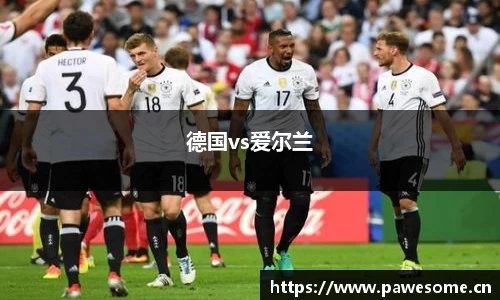 德国vs爱尔兰