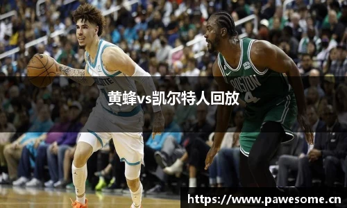 黄蜂vs凯尔特人回放