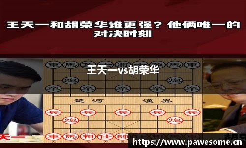 王天一vs胡荣华