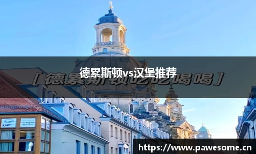 德累斯顿vs汉堡推荐