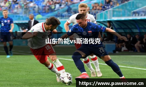 山东鲁能vs斯洛伐克