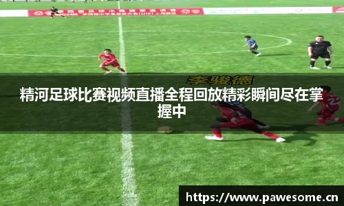 精河足球比赛视频直播全程回放精彩瞬间尽在掌握中