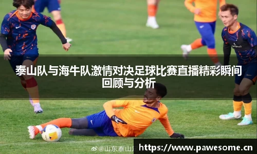 泰山队与海牛队激情对决足球比赛直播精彩瞬间回顾与分析