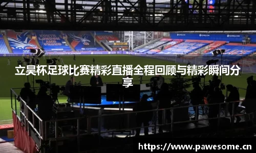 立昊杯足球比赛精彩直播全程回顾与精彩瞬间分享
